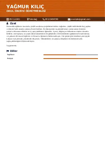 Okul Öncesi Öğretmeni Öğretmenliği Cv Örnekleri cv indir